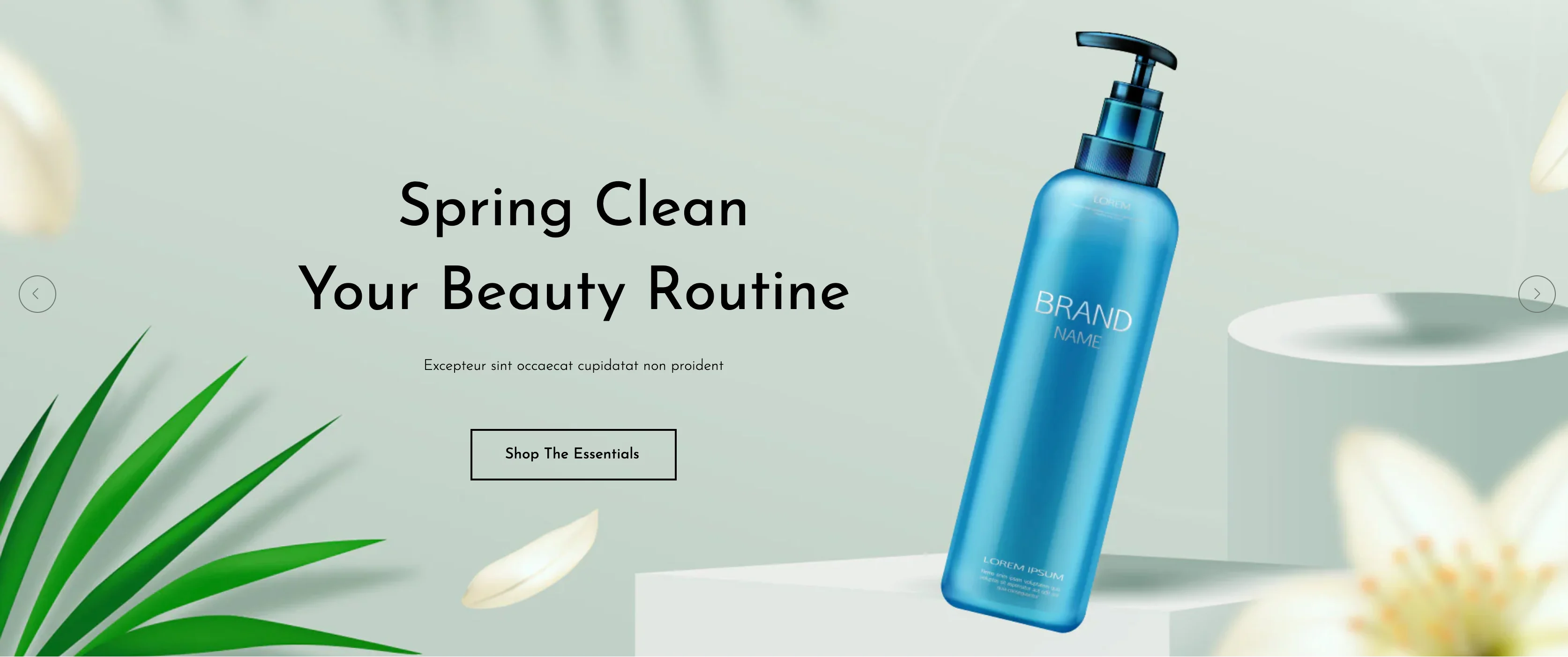 Kindness Beauty project